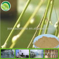 Top Quality White Willow Bark Powder Extract